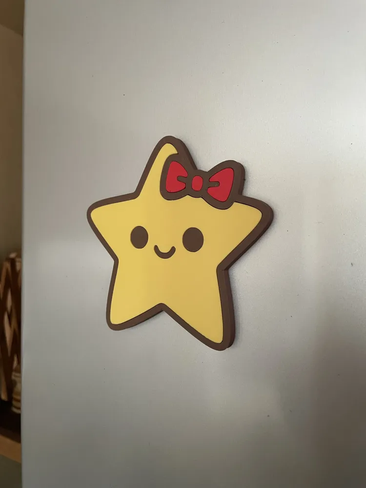 Star fridge magnet on a refrigerator door